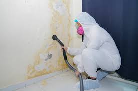 Environmental Consulting for Mold Prevention in Lantana, FL